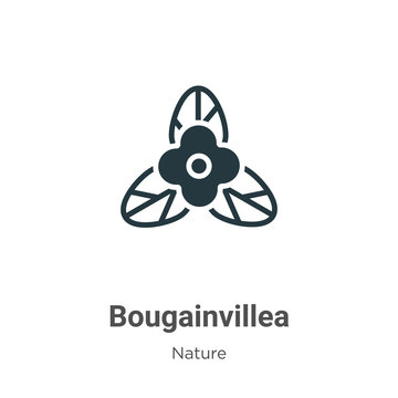 Bougainvillea vector icon on white background. Flat vector bougainvillea icon symbol sign from modern nature collection for mobile concept and web apps design.