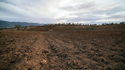 Campo labrado recientemente