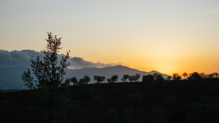Paisaje de campo de almendros con nubes y montaña