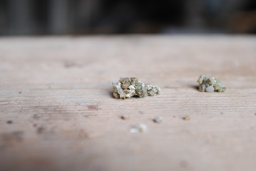 Chicken feces photographed on a board.