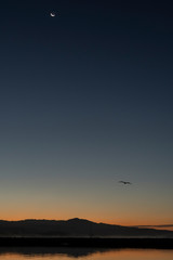 Early morning by the water with the crescent moon high in the sky