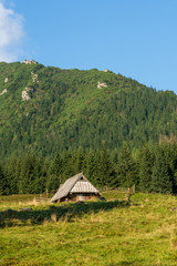 Forest meadow and mountains. Polish Tatras in summer