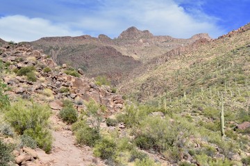 Gold Canyon Arizona Desert Superstition Mountains