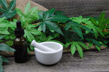 Obraz na płótnie Canvas Bottle of CBD Oil with Mortar and pestle on natural background
