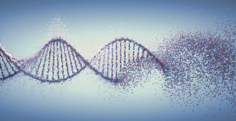 Oxidative DNA Damage Genetic Disorder Molecular Structure - 305318886