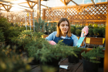 Seller with garden shovel takes care of plants