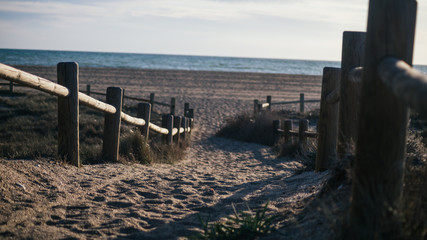 Camino hacia la playa señalizado con palos de madera