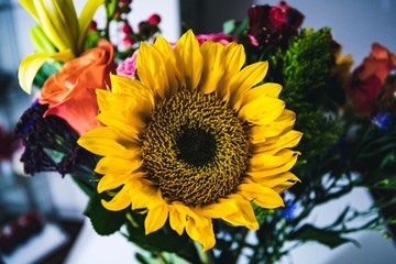Obraz premium sunflower and roses bouquet 