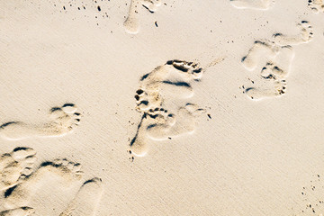 Footprints on sand