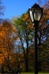 A light post on a vibrant autumn day in Central Park