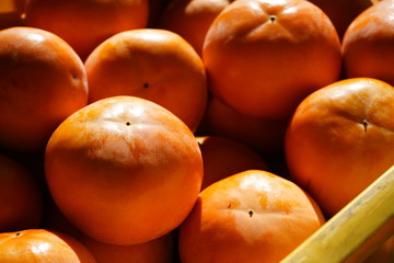 柿　富有柿　カキ　果物