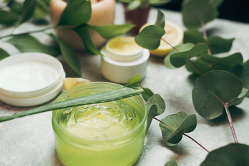 Obraz na płótnie Canvas A can of aloe gel next to an aloe branch and eucalyptus leaves. Green aloe gel on a background of natural ingredients. The concept of skin care, love for your body, natural ingredients. Background