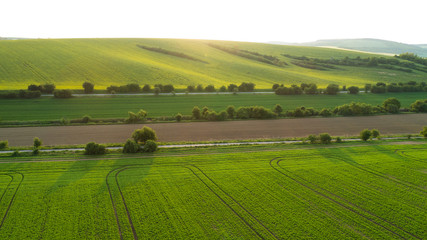 Beautiful aerial landscape in Moravia, Czech Republic. Sunrise over rolling hills in Moravia, aerial drone view. 