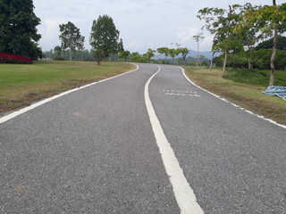 Fototapeta premium road in the park