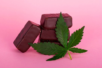 chocolate candy with the addition of medical cannabis for recreational use to relax body and mind.marijuana chocolate on pink background