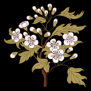 white flowers on brown branch clip art preview