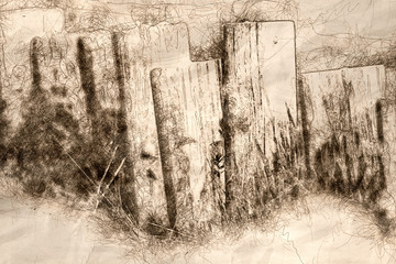 Fototapeta premium Sketch of a Weathered Wooden Fence on a Spring Morning