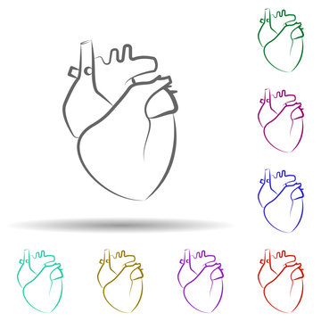 Heart, organ in multi color style icon. Simple thin line, outline vector of biology icons for ui and ux, website or mobile application