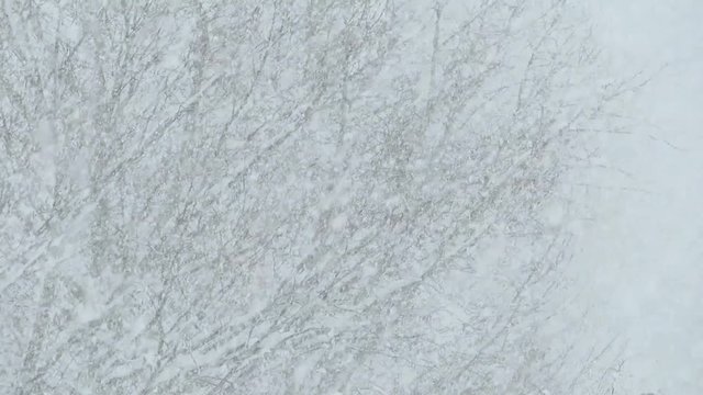 真冬　雪が降る　雪国　大雪　イメージ　スロー
