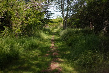 sendero