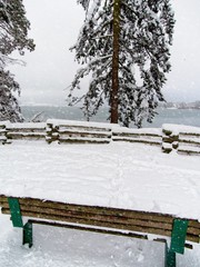 Winter scenery in Victoria BC