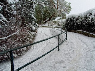 Winter scenery in Victoria BC