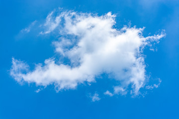Fototapeta na wymiar Clouds are shaped like birds.