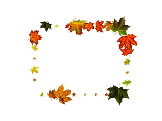 Autumn leaf pattern. Season falling leaves background. Thanksgiving concept