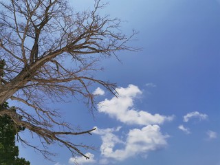Beautiful blue sky and crystal clear water in Sipadan Island, Semporna. Sabah, Malaysia. Borneo. The Land Below The Wind.