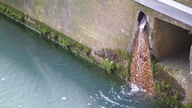 Close up view of a storm water drain emptying into the Chicago River with green algae growing on the concrete wall around the brown stained region where the water trickles out and splashes below.
