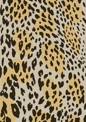 Leopard Skin Pattern