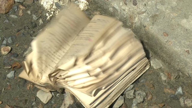 Japan Tsunami Aftermath - Pages Blow In Wind In Kesennuma City