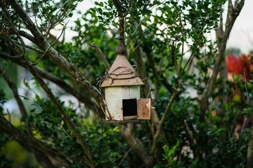 bird house