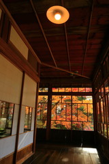 紅葉の南昌荘