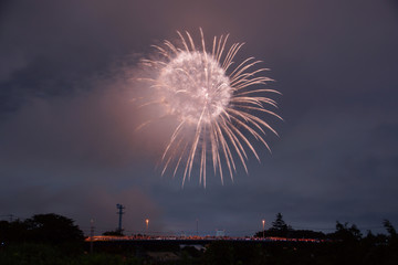 Japanese fireworks display