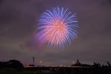 Japanese fireworks display