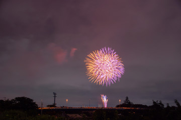 Japanese fireworks display