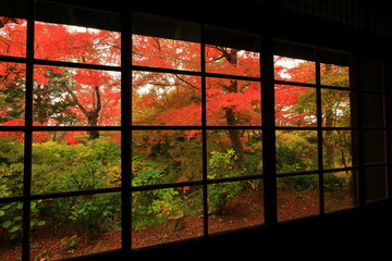 紅葉の一ノ倉邸