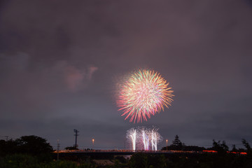 Japanese fireworks display