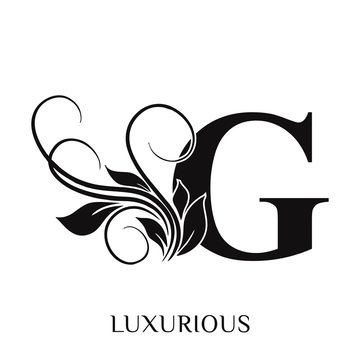 Initial letter G  Decorative emblem VINTAGE ornament  monogram logo