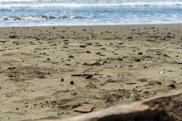 Bahía Ballena