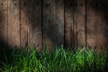 Wooden fence background with grass and sunlight