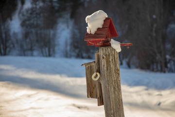 Birdhouse in Snow