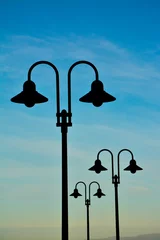 Tuinposter Streep lamps sillouete in the sunset © puntel