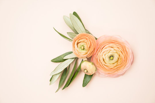 Floral feminine flat lay with ranunculus and anemone