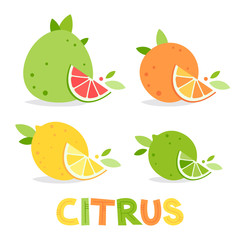 Citrus fruits. Pomelo, orange, lime and lemon. Summer fruits for healthy lifestyle. Colorful illustration with hand drawn lettering. Vector flat cartoon illustration isolated on white