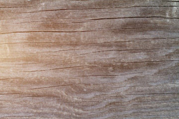 Fototapeta premium Old filthy pine board with cracks, toned sunlight. Wooden natural background.