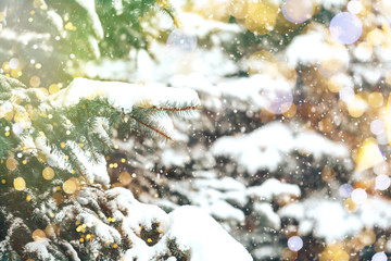 Christmas tree outdoor with snow, lights bokeh around, and snow falling, Christmas atmosphere.