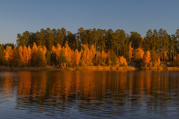 picturesque scene of fall forest on the lake shore in the rays of sunset. Orange yellow bright paints autumn