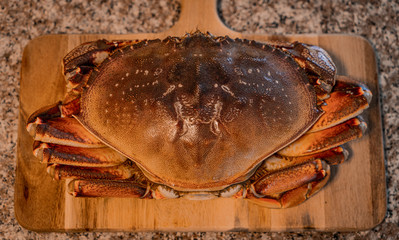 Dungeness crab seafood 